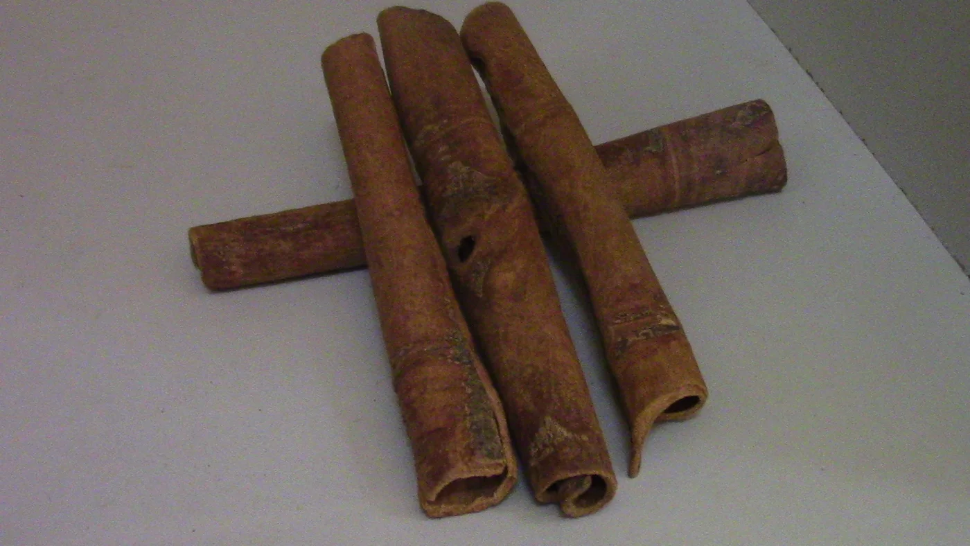 Kayu Manis Cina (Cinnamomum cassia), bahan botani sebenar